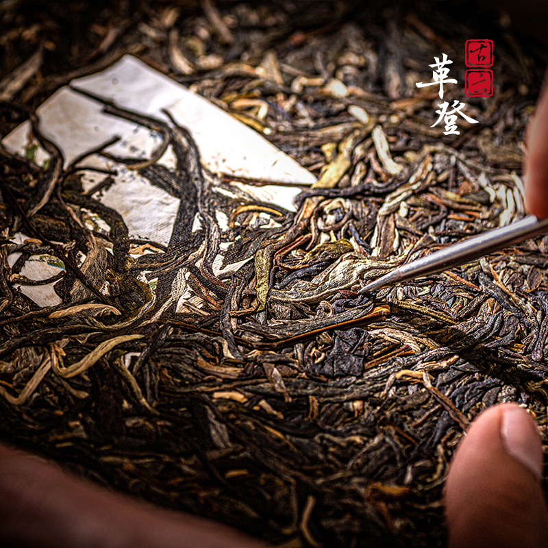 2020正山普洱生茶 — 古六 — 革登