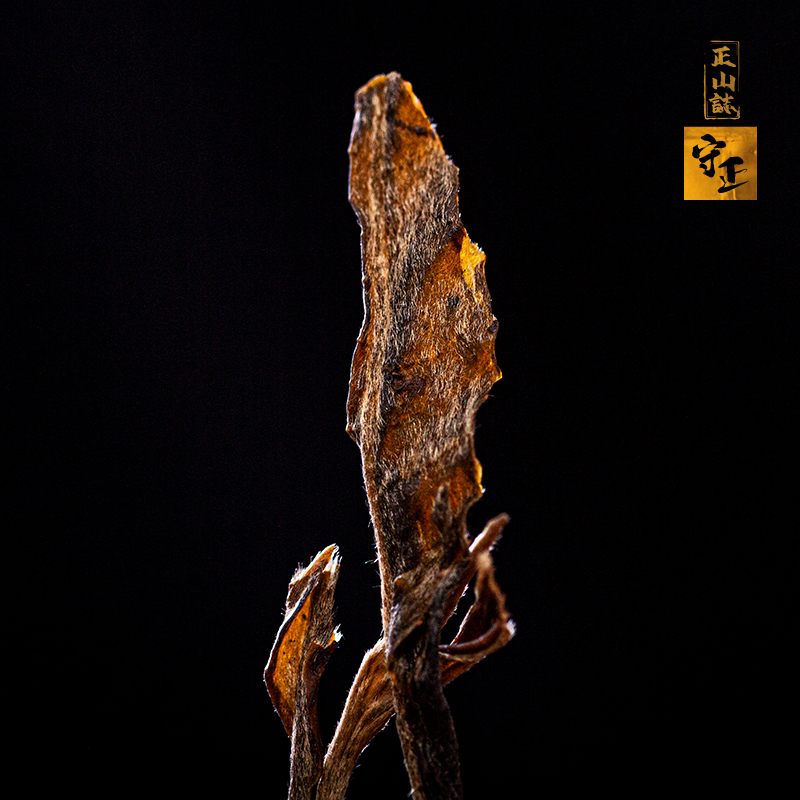 2020正山普洱生茶 — 正山誌 — 守正